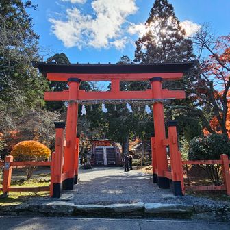 　丹生都比売（にうつひめ）神社に来ました。ここでお昼にします。
　ここで三谷坂ウォークのイベントの方々のゴールとなるみたいです。
　我々は、後、半分残っています。🚶🐤まだ先が長いな…🤔