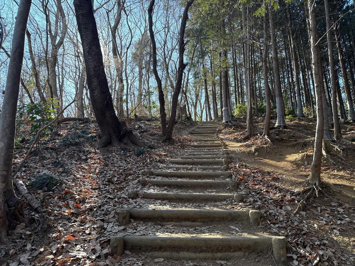 大中寺-太平山-ぐみの木峠-晃石山 周回コースの写真