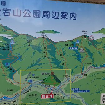 今日は愛宕山から花火が上がるみたい
