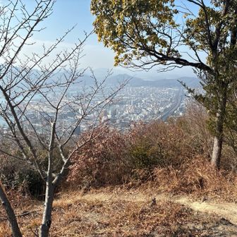 あそこまで帰るのみ