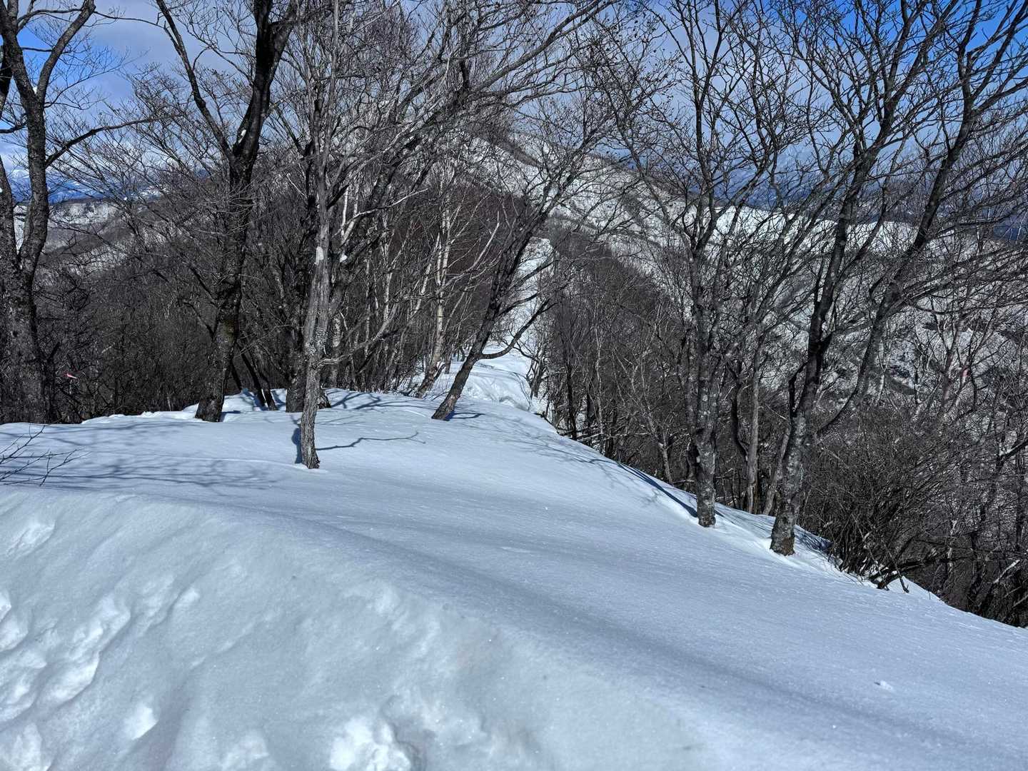尾根は風が強くて寒〜