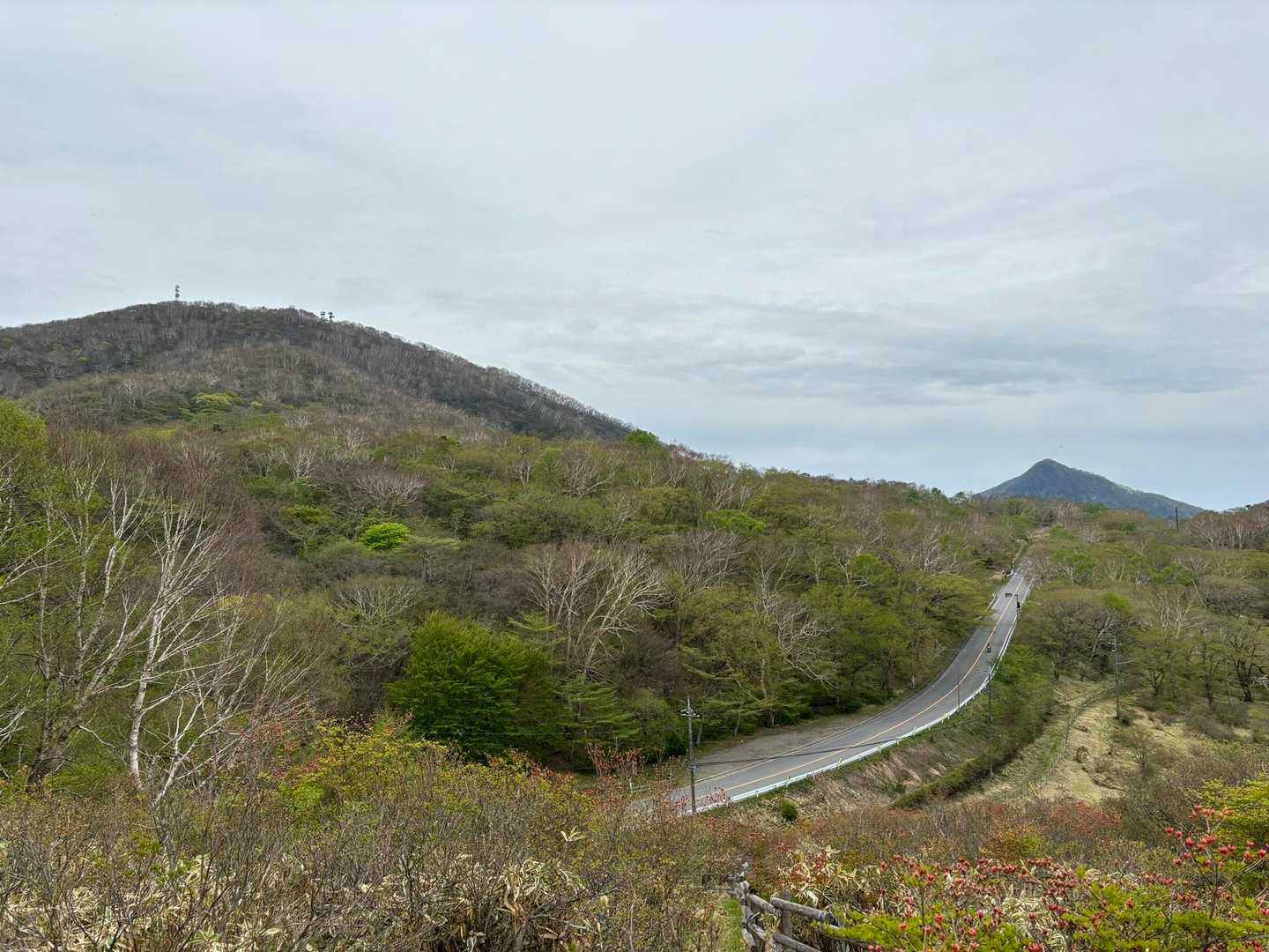 姥子山-鍬柄山-鈴ヶ岳-見晴山-新坂平バス停 周回コースの写真