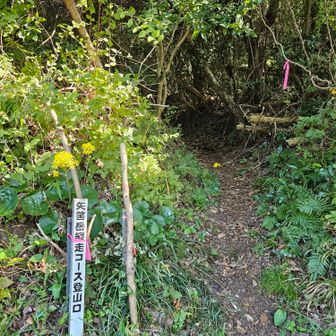 今日はよろしくお願いします😊