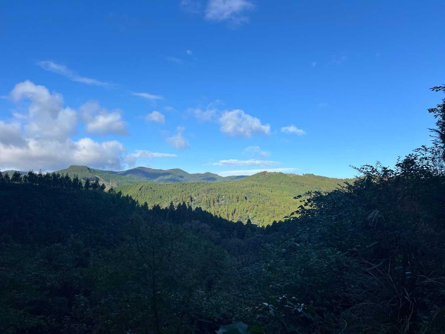 小谷登山口-双石山 往復コースの写真
