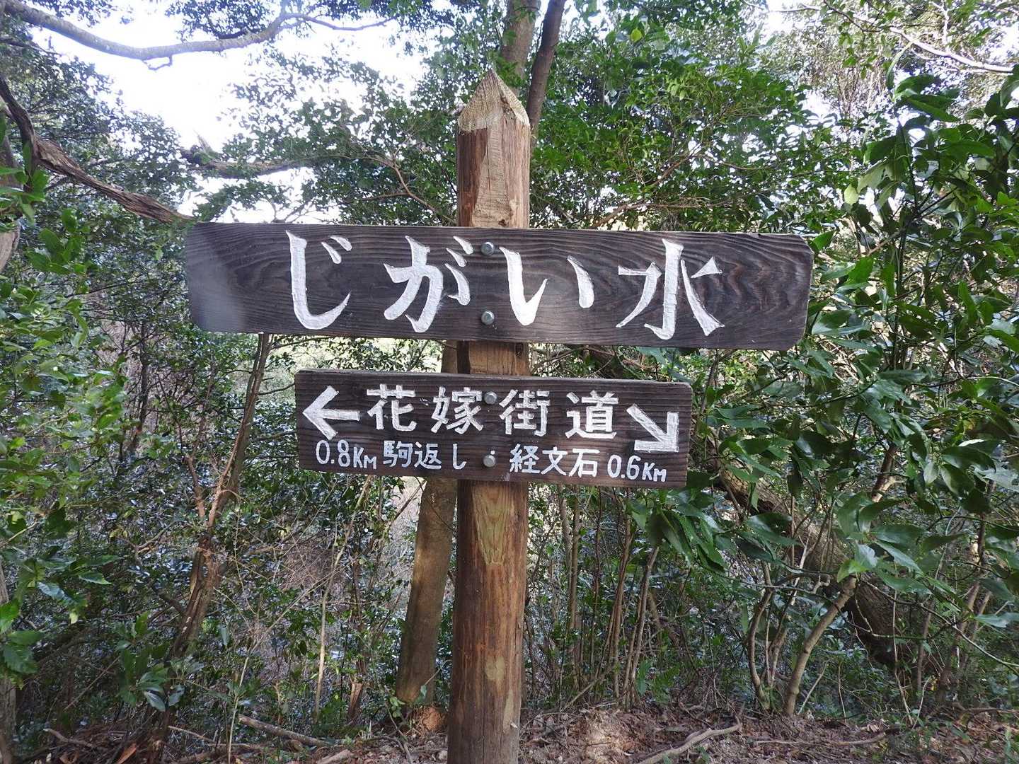 じがい水