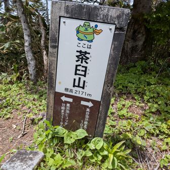 やっとピーク。通常の2倍かかってる笑