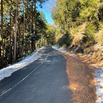 しばし舗装路となる