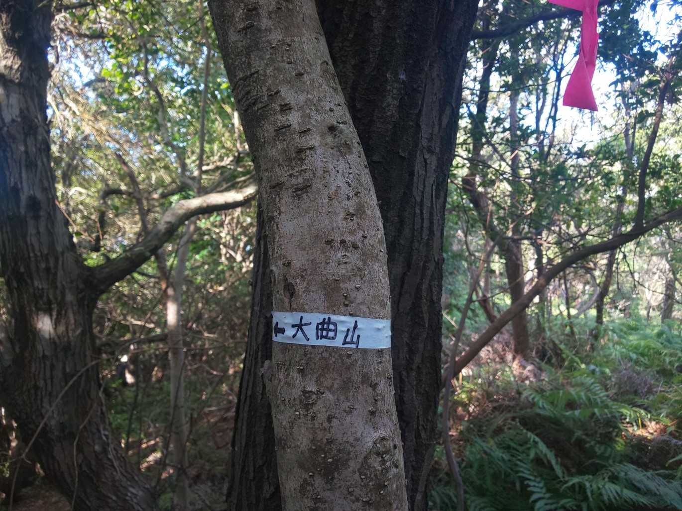 ここにも表示があり