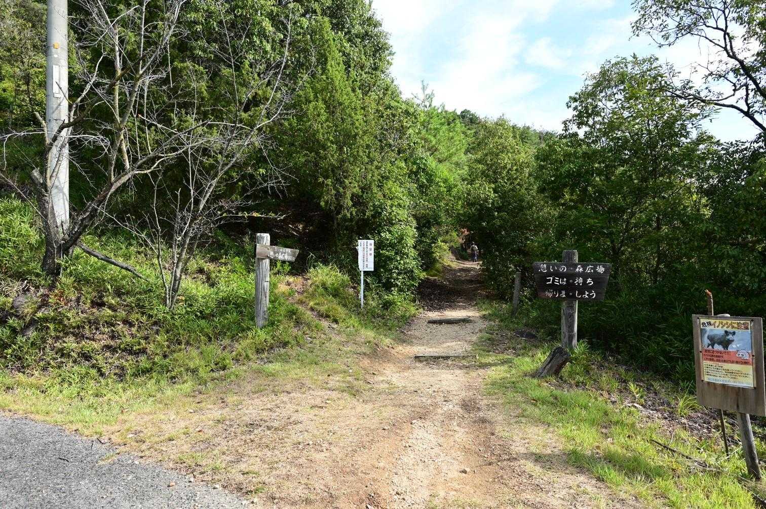 登山口からスタートです