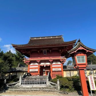 立派な神社です⛩️