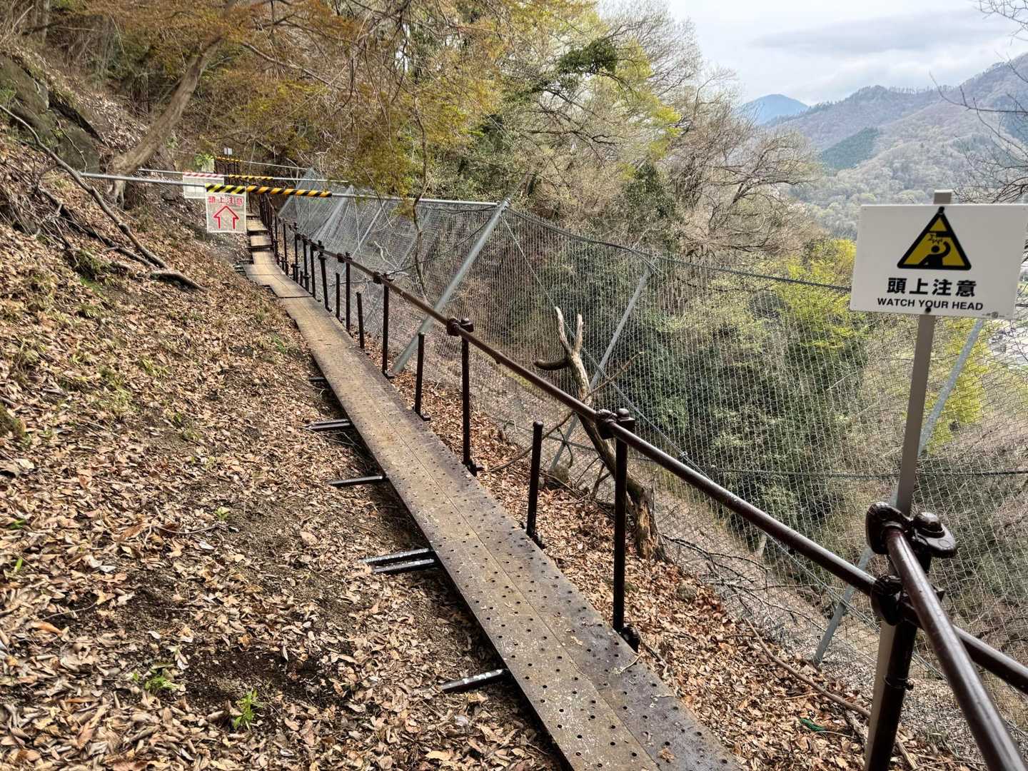 下山は強瀬ルートで。
あちこち補強してくれていて、安心感がありました。