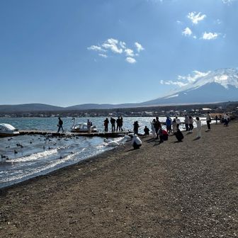 なんでだろ？と思ってたらエサやりしてました😅