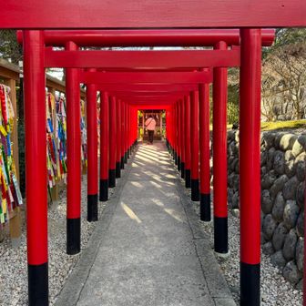 凶を引いた後は、ご本殿でないところもより一層丁寧にお参りしたくなる🙏
↑引いた人😑