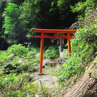 草で見にくいですが、⇒の所から取り付きます! 後はハッキリ整備された道です。