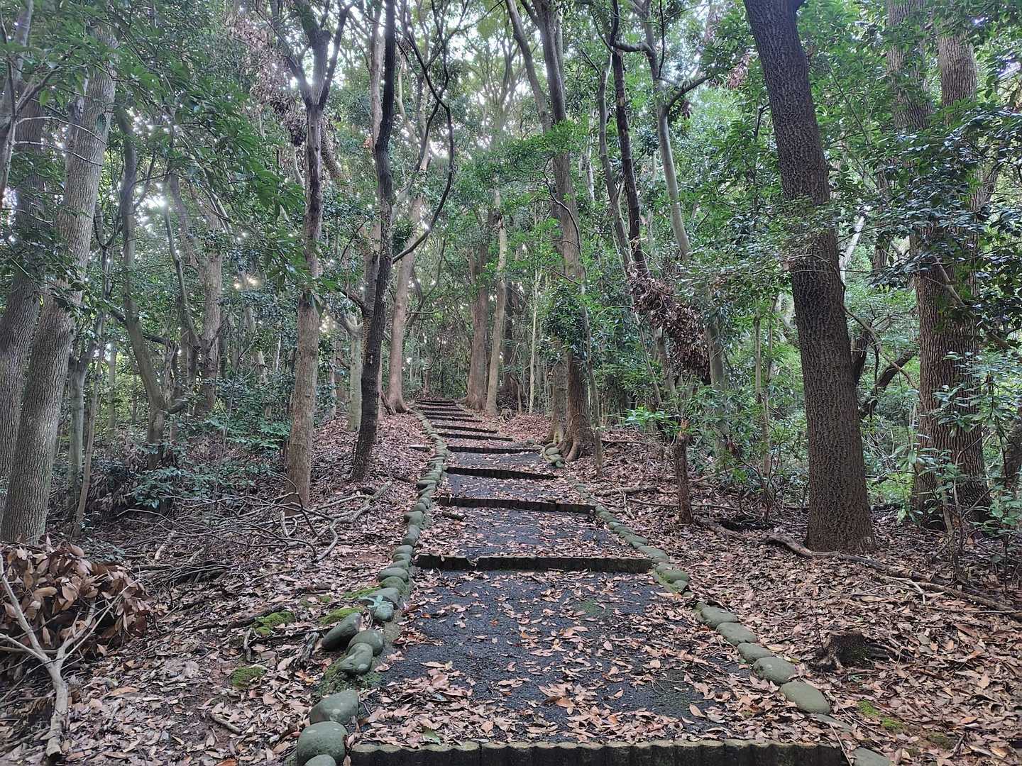 金比羅山 往復コースの写真