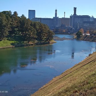 意外に水がきれい
透明感がありました
