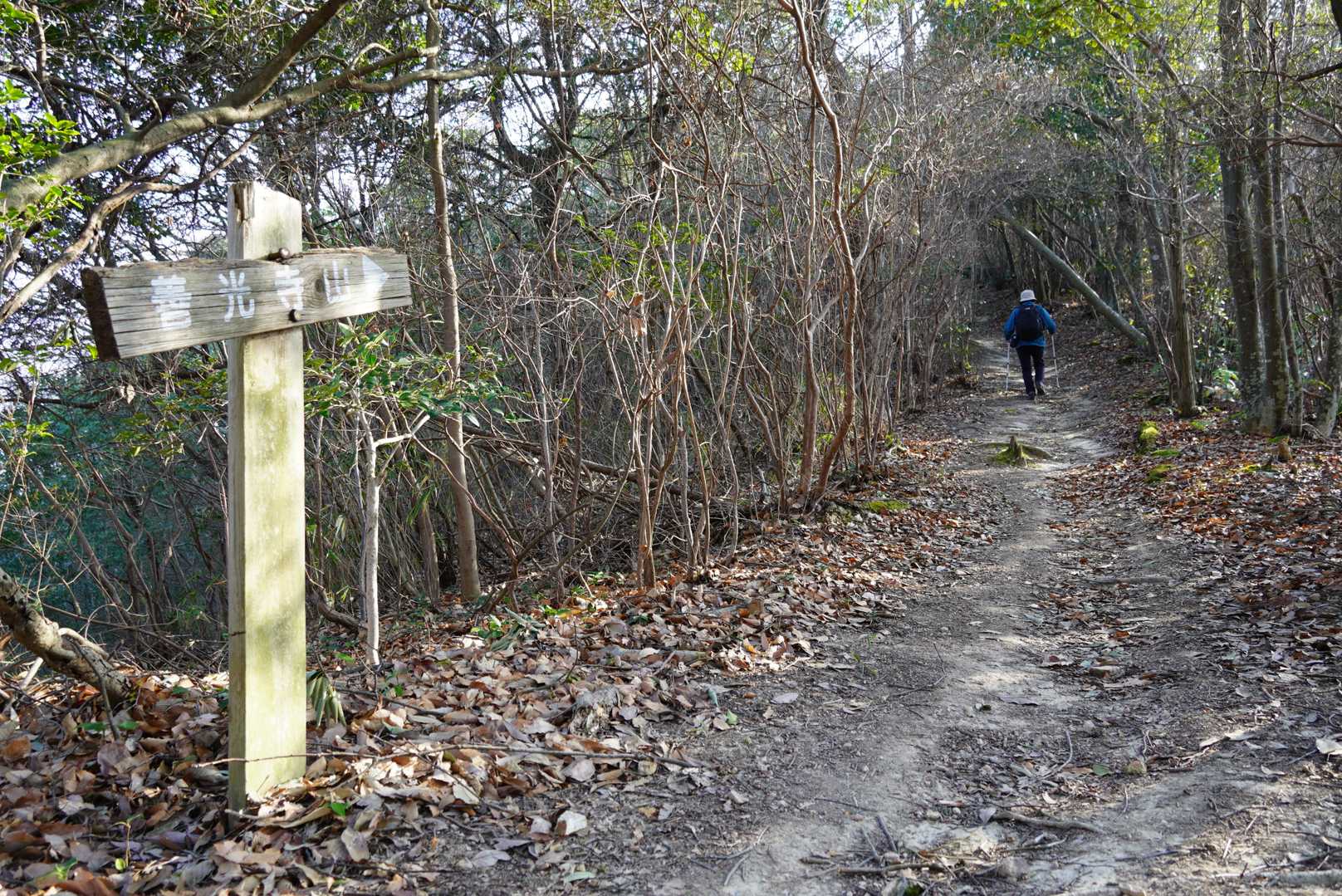 次に善光寺山へ