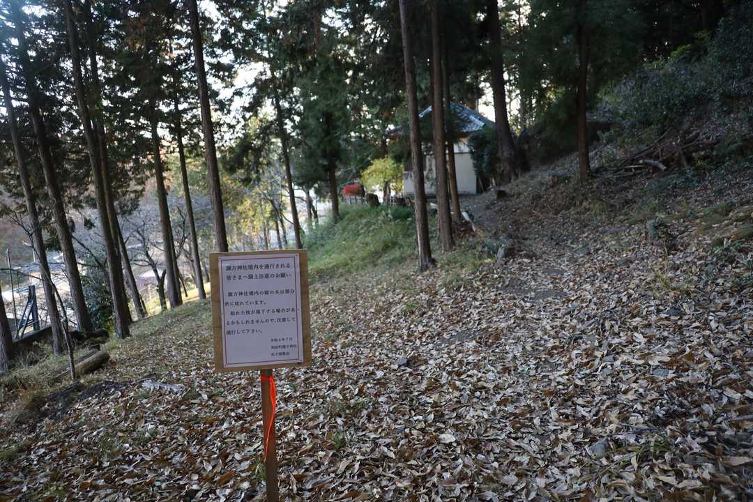 諏方神社（膝屈諏訪神社）の注意書き
枯れた桜の枝に注意⚠️