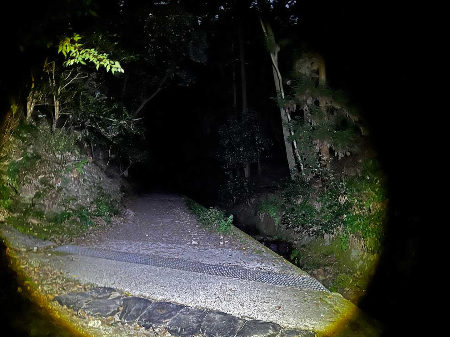 八神社登山口 往復コースの写真