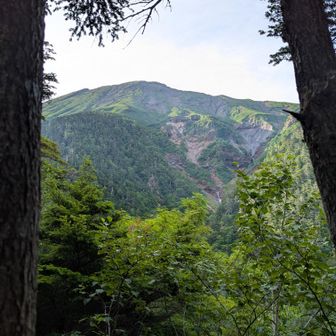 おっ！見える。飛騨頂上かな？
