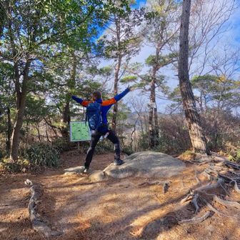 そしてまたただの森の荒地山⛰️