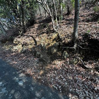 尾根の取り付きです