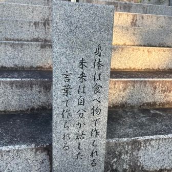 そうかも