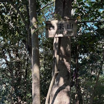 一つ目のピーク根来山