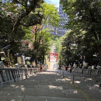 下り階段が、ほんのり怖い

let's♪ アイキャンフライ