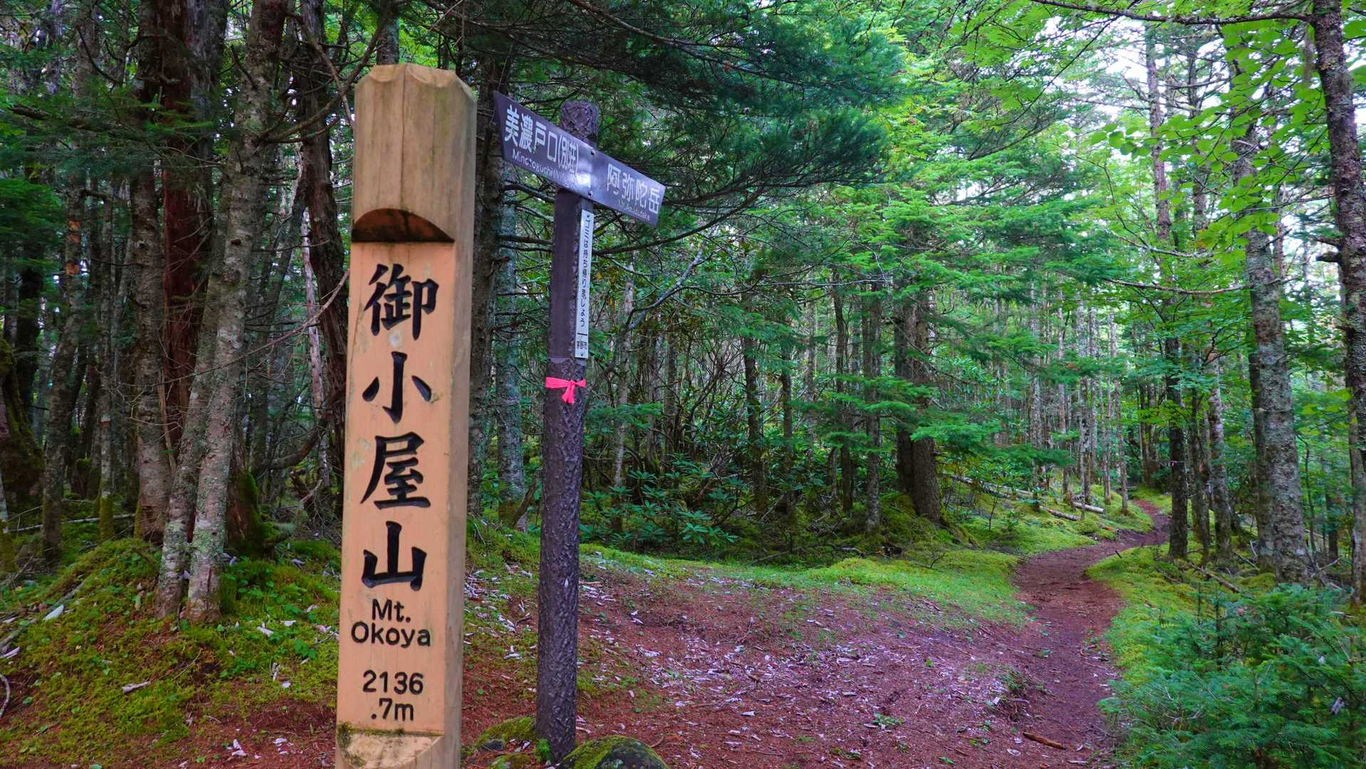 御小屋山山頂