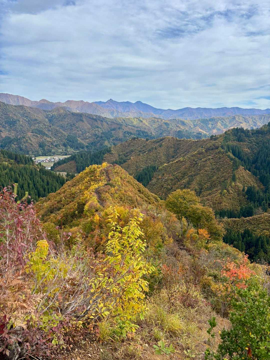 急降りでケンポセンターまで🚶🏻‍♂️