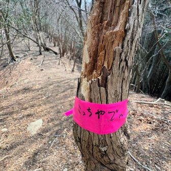 🎀こっちやで〜　

🤗あ〜りがとさぁ〜ん♪
　　(ピンテみて思わずわろたぞぉっw)
