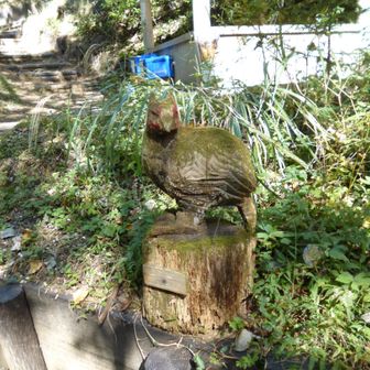 やっと本当の登山道に到着。