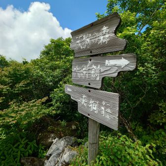 天狗の森