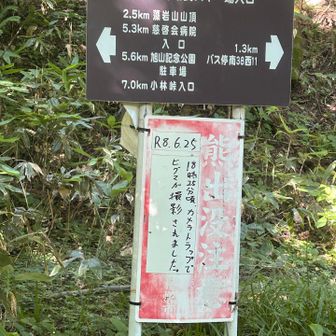 どうか熊さん出ませんように🙏