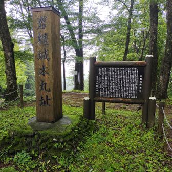 岩櫃🏯
