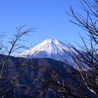 御座入山から先の稜線は時々富士山が見えますよ～