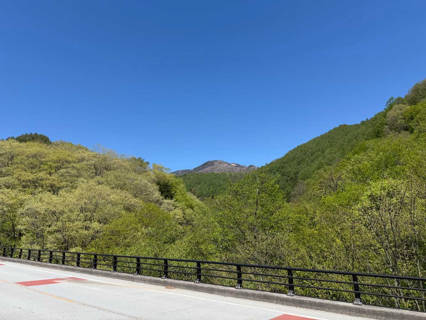 近いうちにまた来るからねー。

お疲れ山⛰️でした❗️