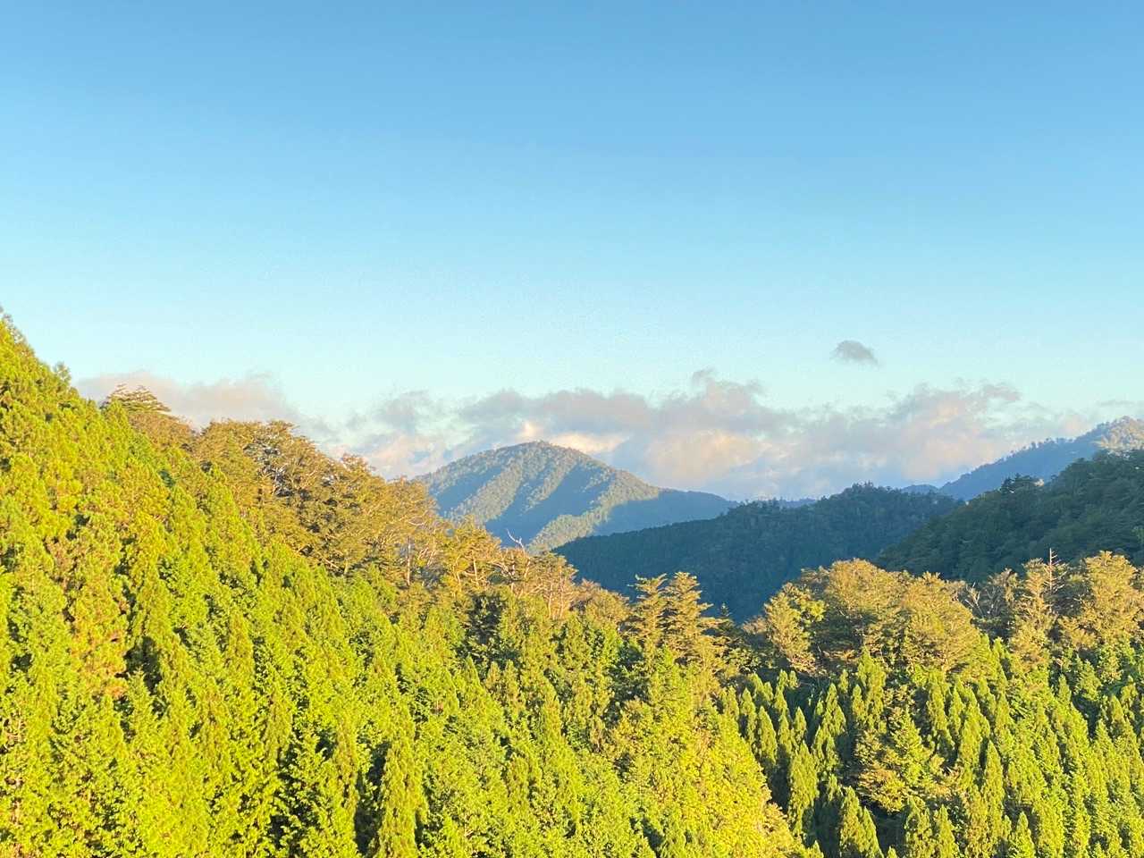 中央は今年3月24日に登った、中八人山です。
