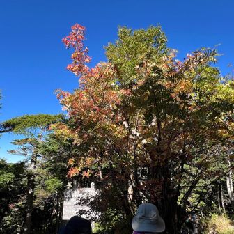 紅葉
御嶽山は飛騨側はあまり紅葉が無い。とか
長野県側の紅葉が楽しみ😊