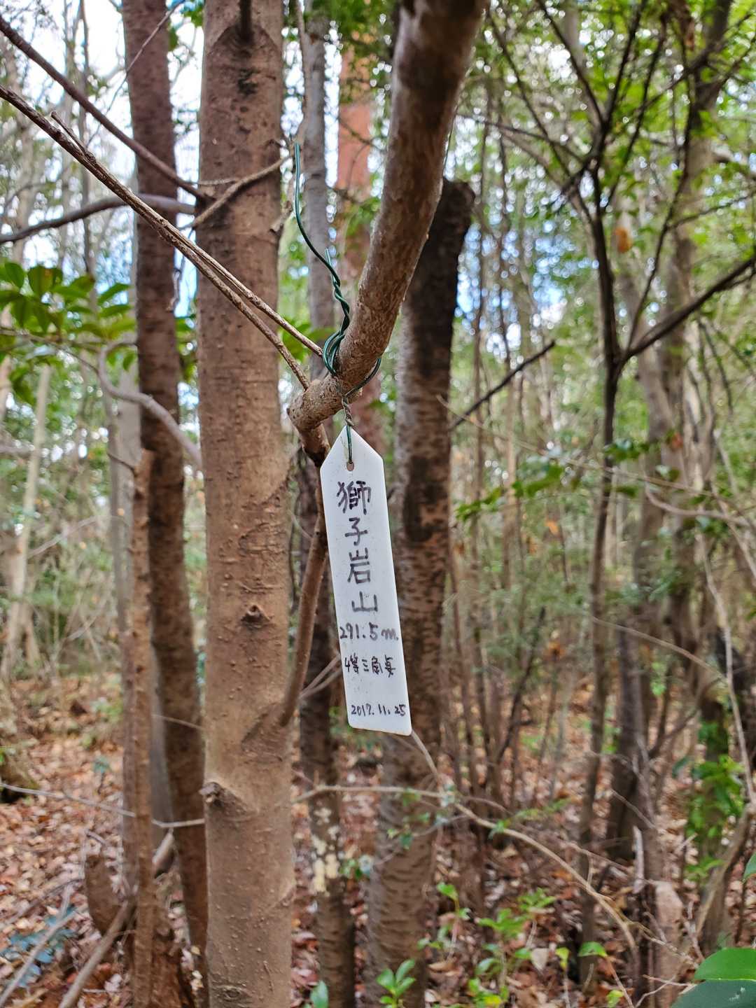 獅子岩山の写真