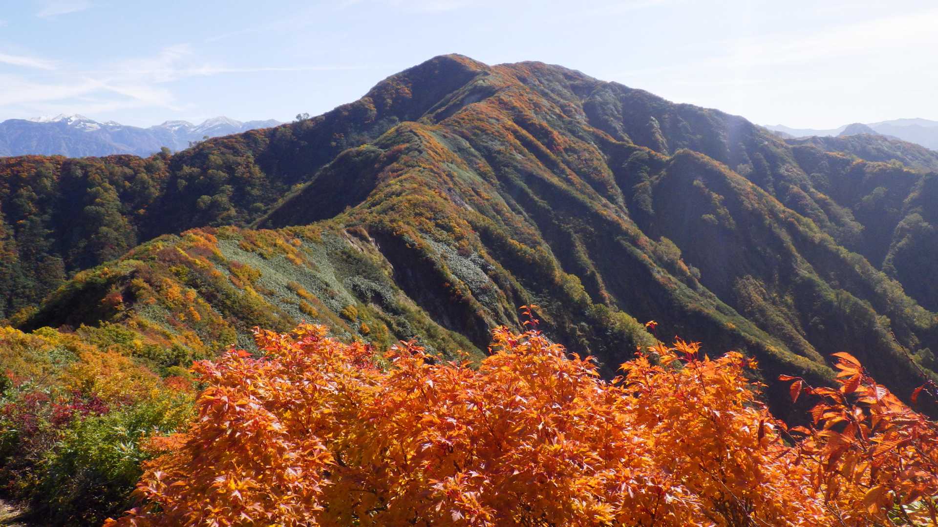 天気が良いので
駒ヶ岳に行きましょう