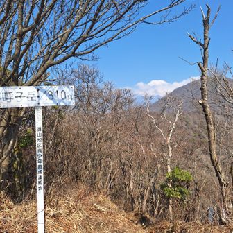 呼子岳からは富士山見えますが、雲が多い