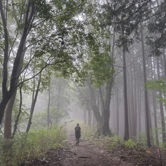 普段と違う雰囲気の山道