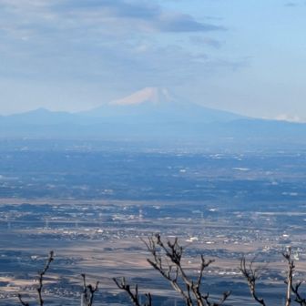 富士山が見えました