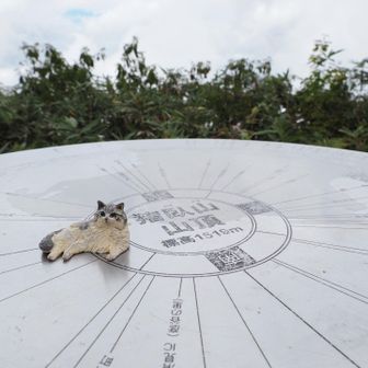 360度開けているので
晴れの日は白山、北アルプスが見渡せるようですが今日は雲隠れ

先ほどおしゃべりした方もピストンで降りて行かれたのでワタシ周回はやめます
