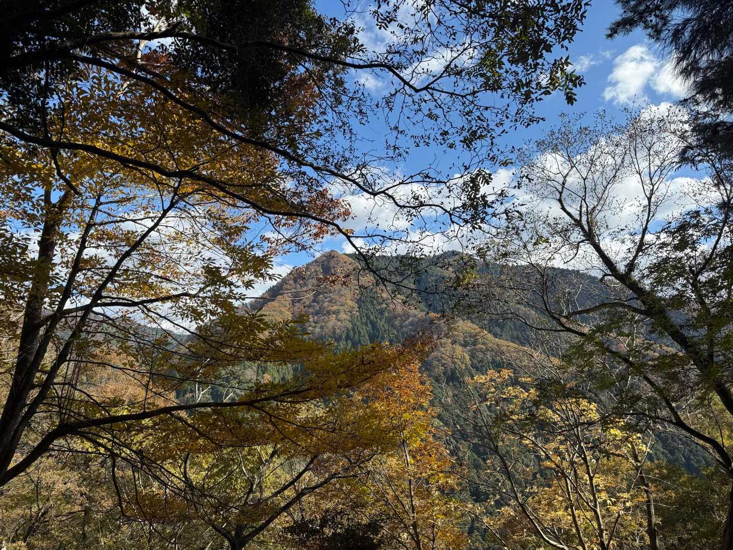 宮山登山口-宮山 往復コースの写真