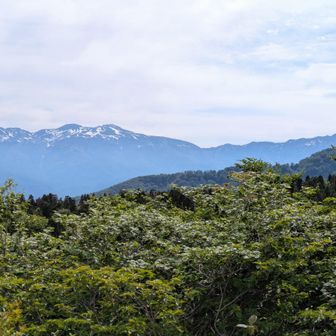 😆別山〜白山、また歩きたい！