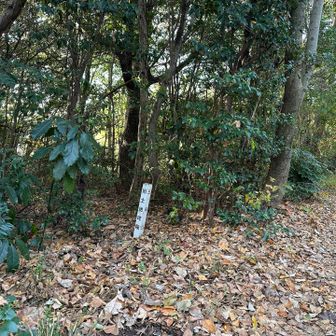 相生山頂上三角点