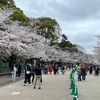 空いてる瞬間に撮った写真